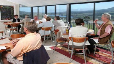 Newton Johnson Vineyard