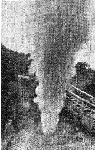 زيلندة جولة في ربوع أستراليا بين مصر وهونولولو هنداوي