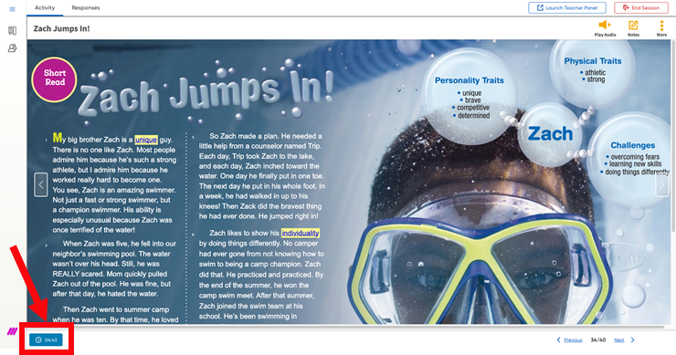 Classroom Panel with Timer minimized