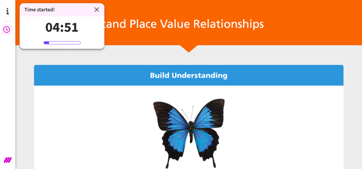 Student Panel showing the Timer dialog box started
