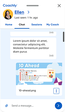 Chat window with shared file