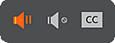 Audio menu options