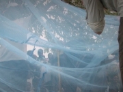 WORLD MALARIA DAY / ADVANCER