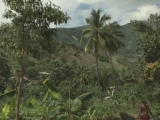 HAITI / ENVIRONMENT