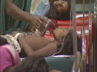 NEW YORK / DIARRHEA REPORT