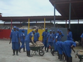 HAITI / EARLY RECOVERY 