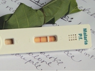 UN / MALARIA GUIDELINES