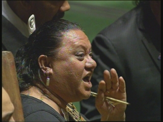 UN / INDIGENOUS FORUM WRAP