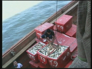 UN / GREEN ECONOMY REPORT