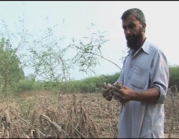 PAKISTAN / FLOOD AFTERMATH  