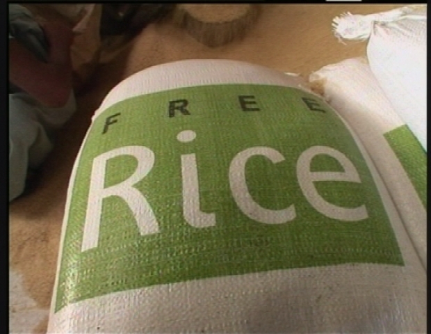 ROME / FREERICE NEW VERSION 