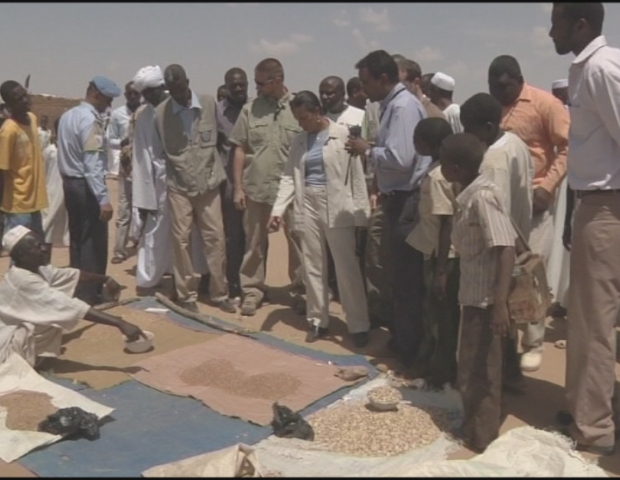 DARFUR / SECURITY COUNCIL MISSION 