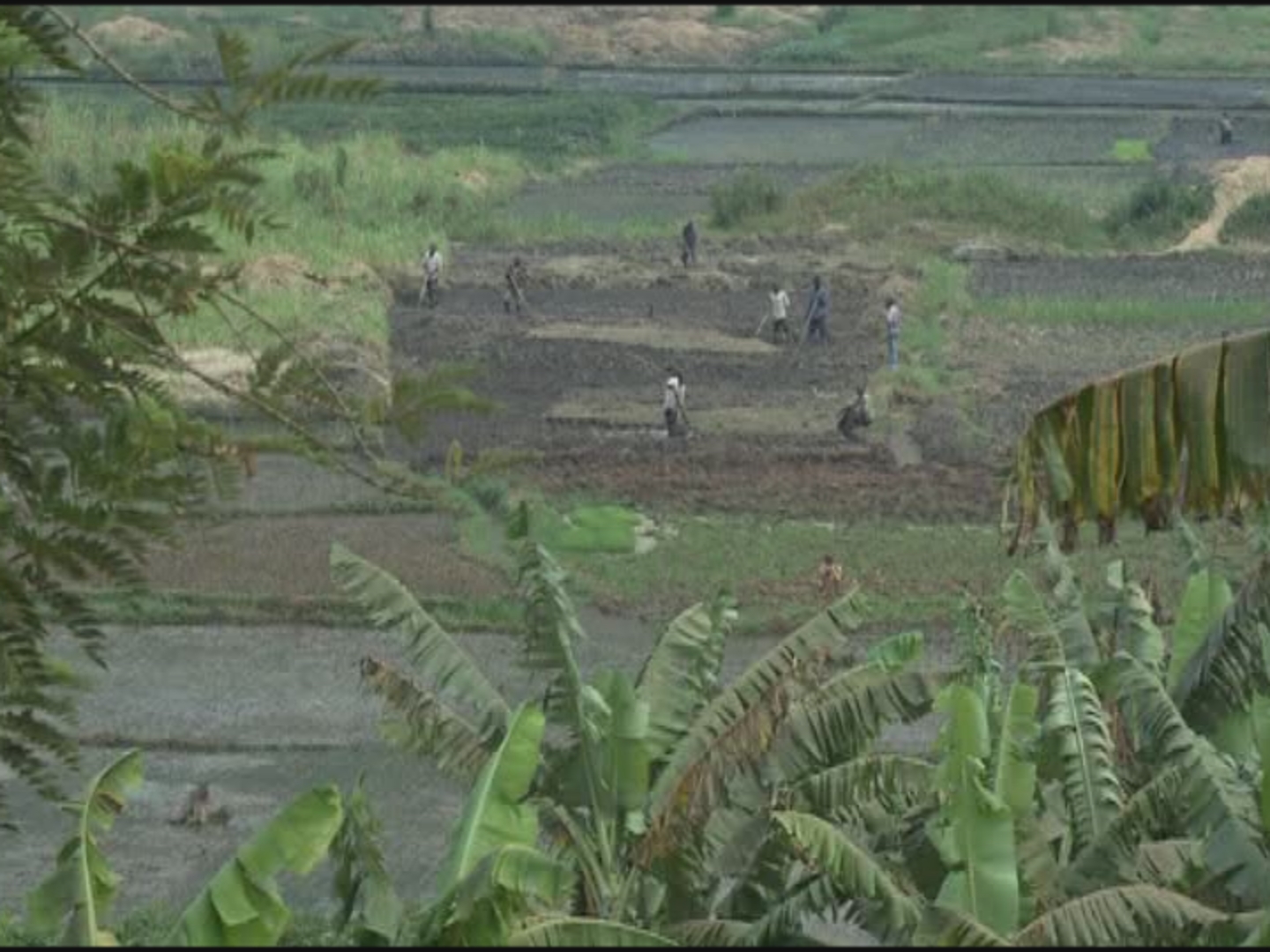UN / RURAL POVERTY REPORT LAUNCH