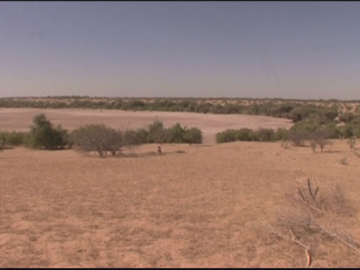 CHAD / LAKE CHAD DISAPPEARING 
