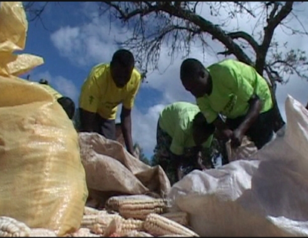 ZIMBABWE / YOUTH HIV/AIDS