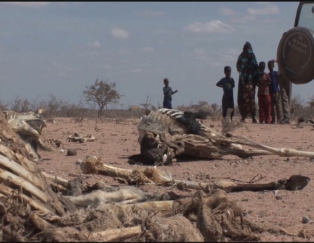 KENYA / DROUGHT 