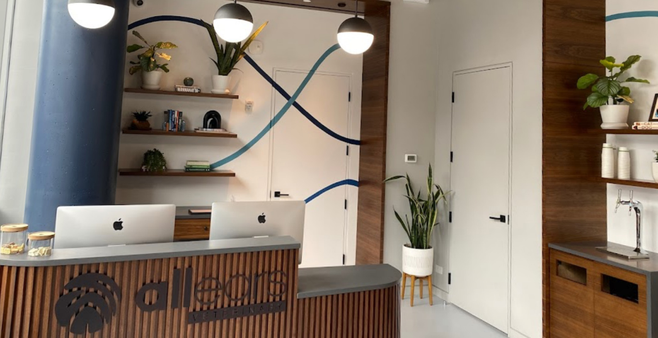 All Ears Veterinary Downtown Brooklyn