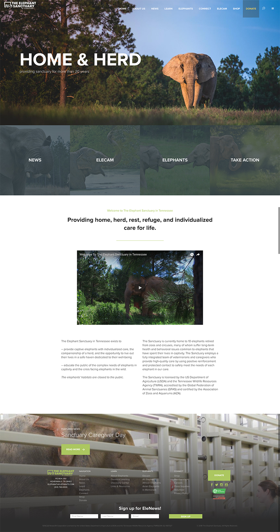 The Elephant Sanctuary Website Design The Elephant Sanctuary Website Design
