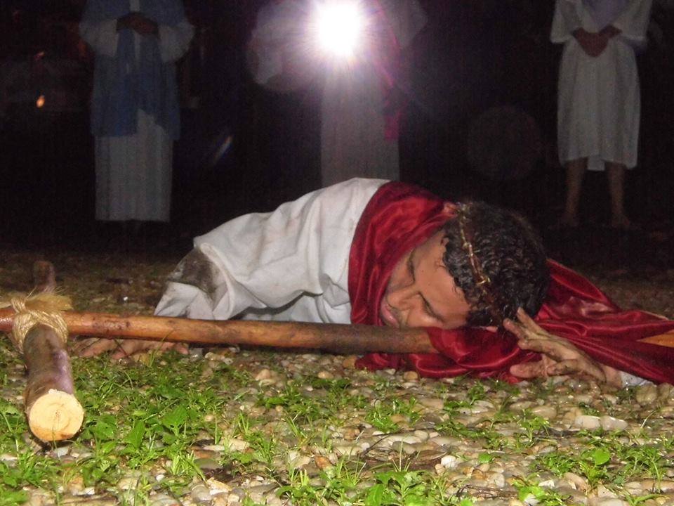 11995570_565627473613474_1581329241_n