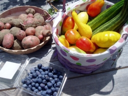 garden goods 6 10 14.jpg