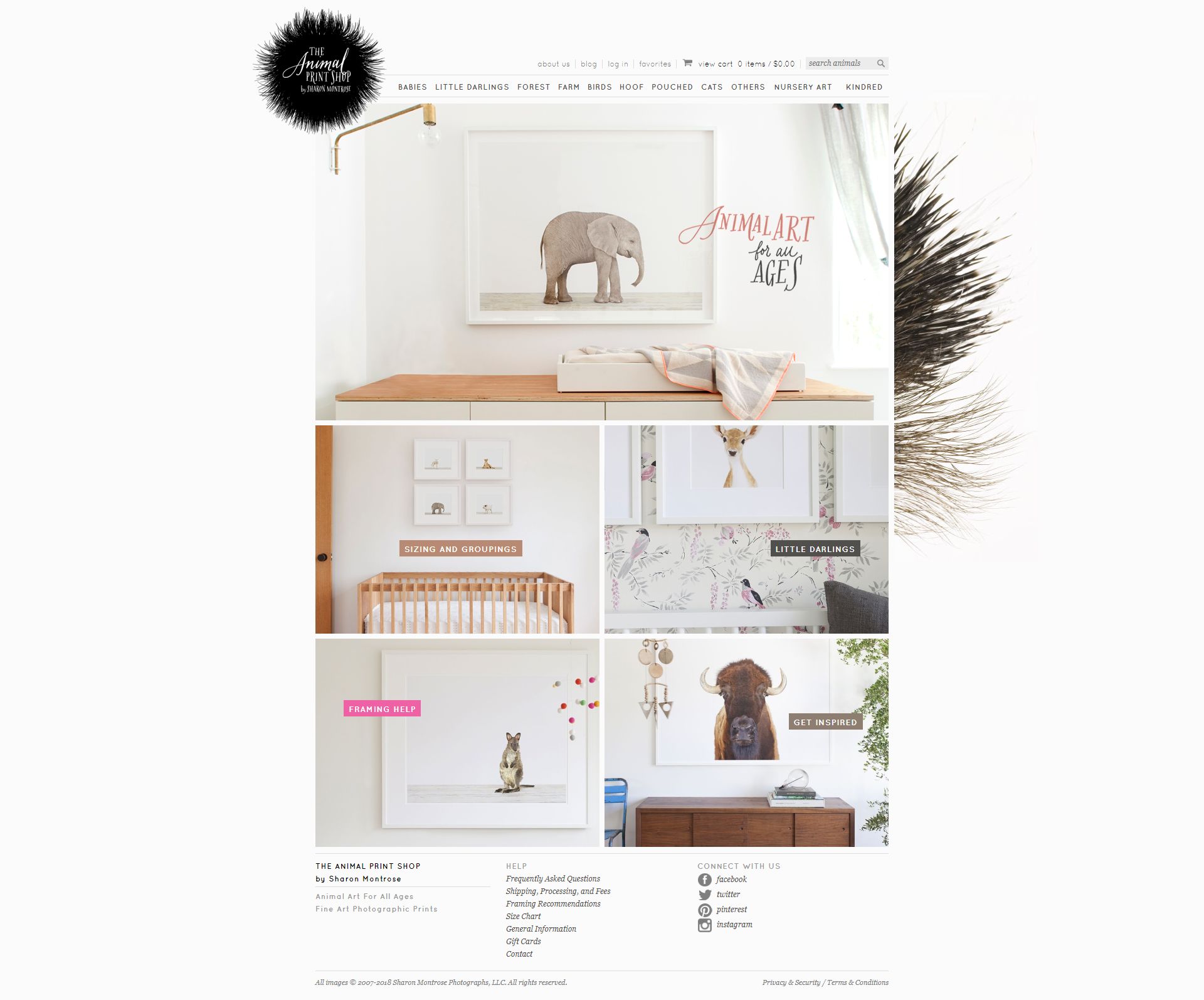 The Animal Print Shop Dream Encode