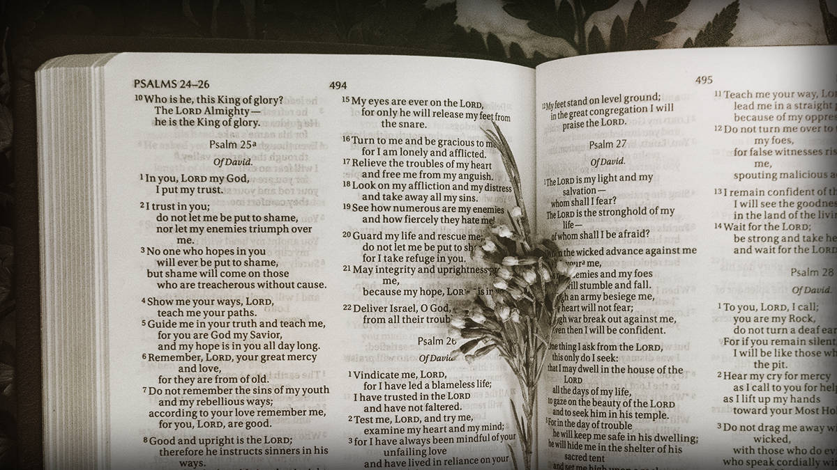 Dripping Springs Church of Christ Come and See!