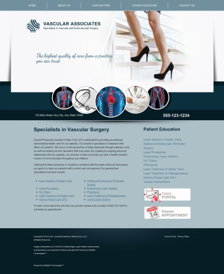 Vascular Website Preview #2