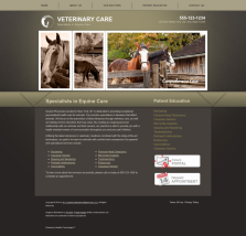 Equine Website Thumbnail #3