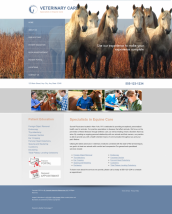 Equine Website Thumbnail #1