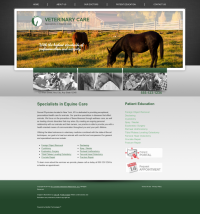 Equine Website Thumbnail #4