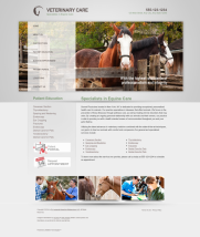 Equine Website Thumbnail #11