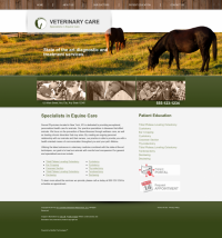 Equine Website Thumbnail #7