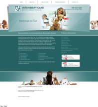 Veterinary Website Thumbnail #17