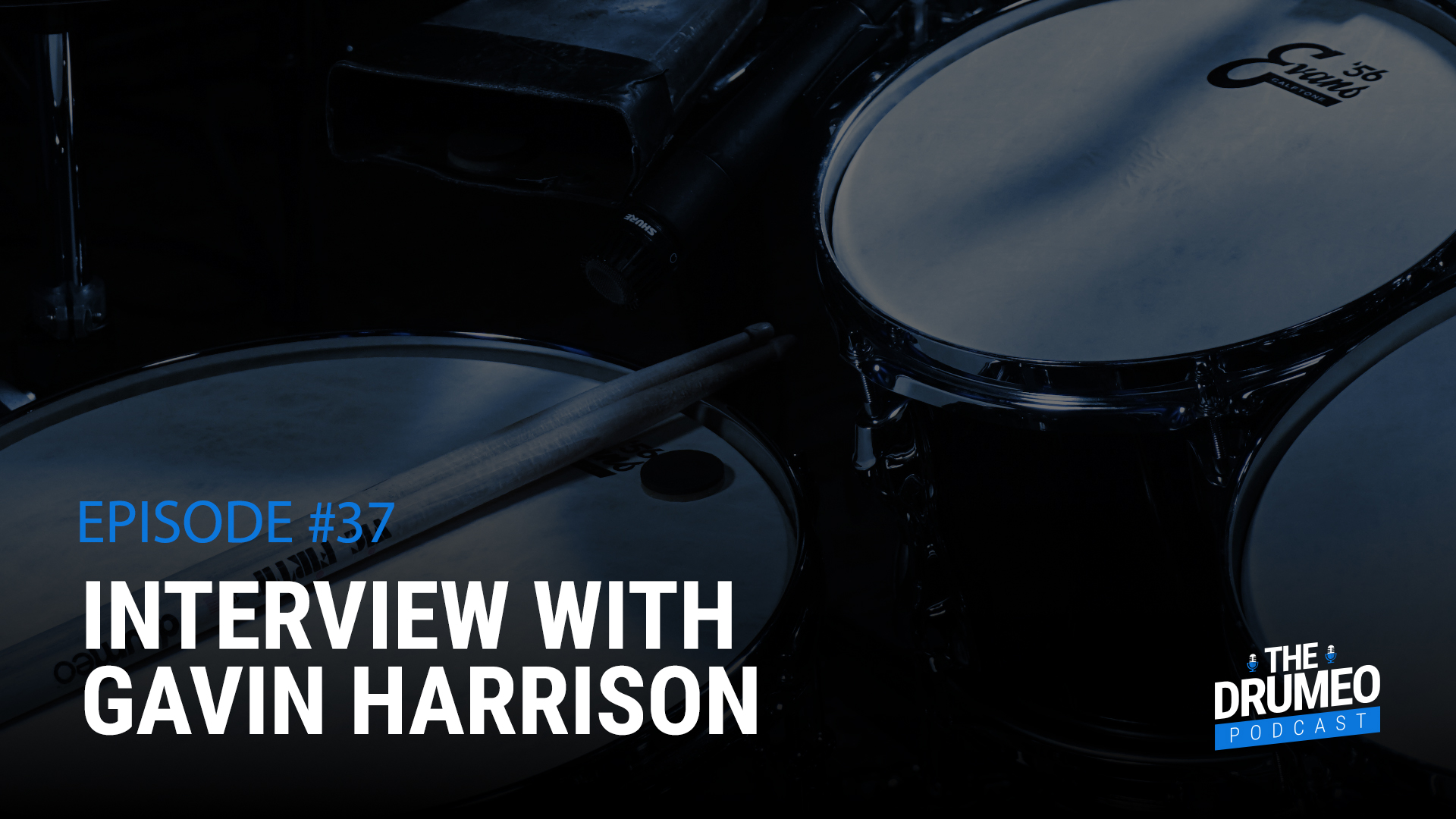 Gavin Harrison, One Of King Crimsons Drummer And Former Porcupine Gavin Harrison, One Of King Crimsons Drummer And Former Porcupine