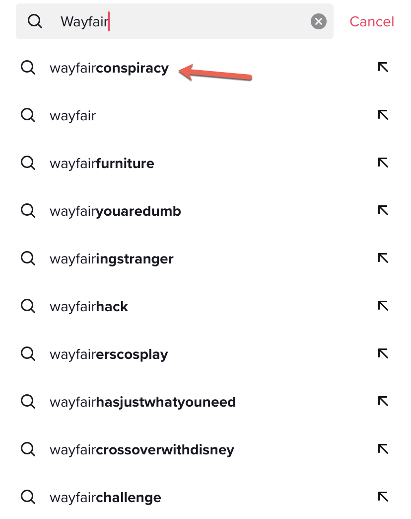 TikTok Wayfair auto search