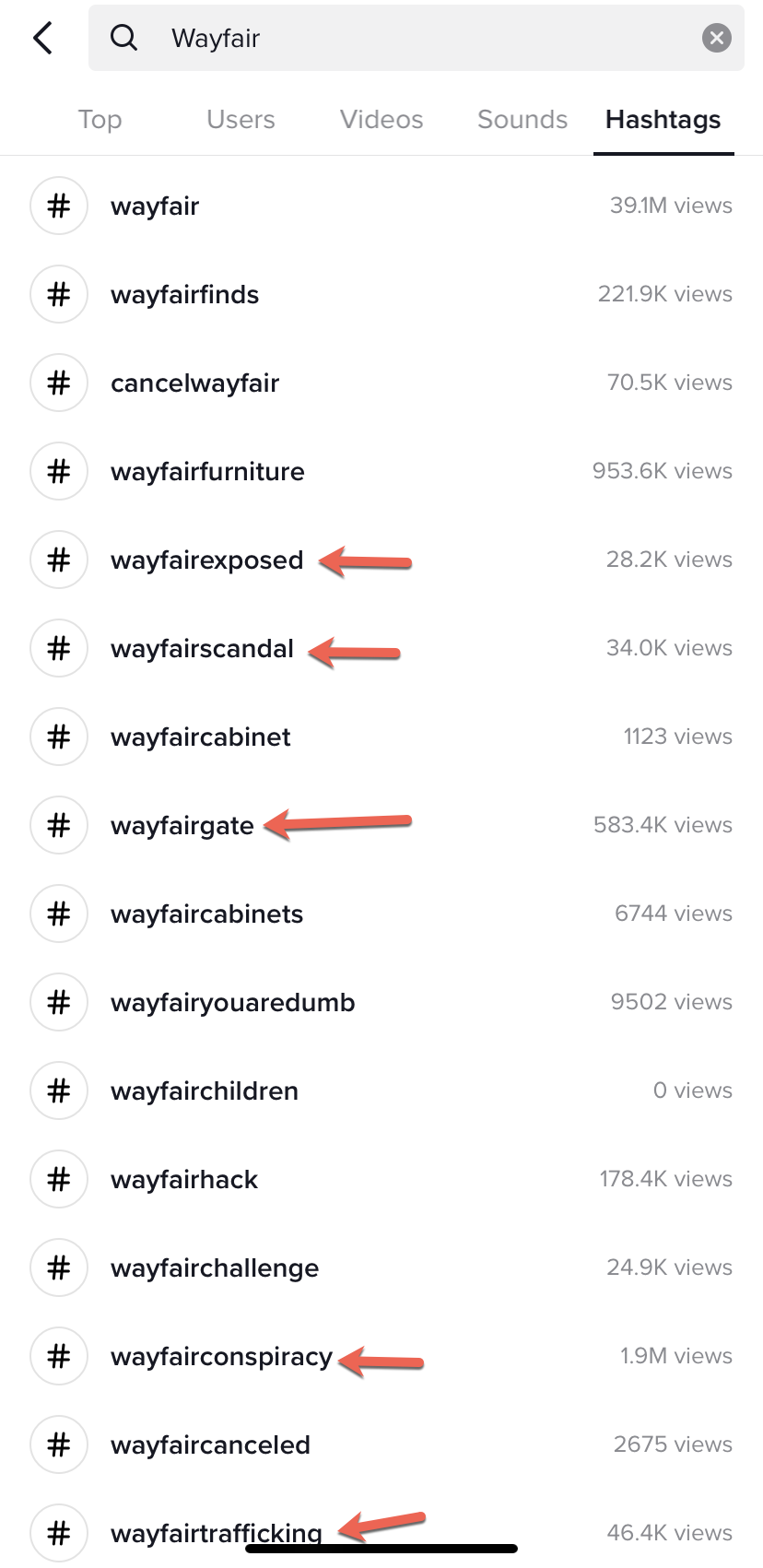 TikTok Wayfair hashtags
