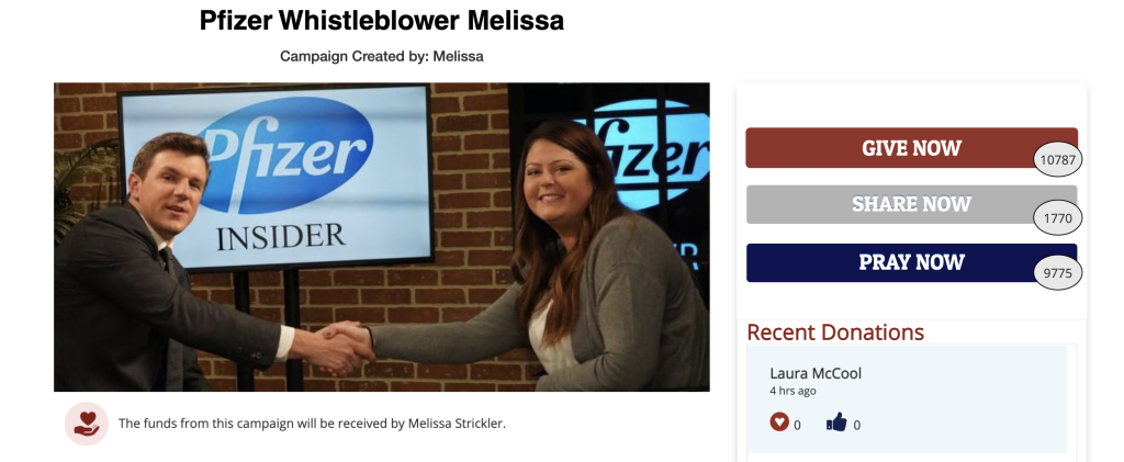 Screenshot of Project Veritas "insider" Melissa Strickler's GiveSendGo page