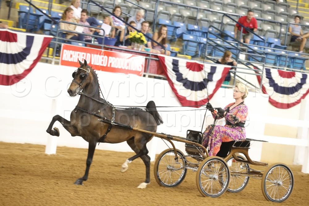 2017 Roanoke Shenandoah Horse Show Horse Show Proofs 2017 Proofs