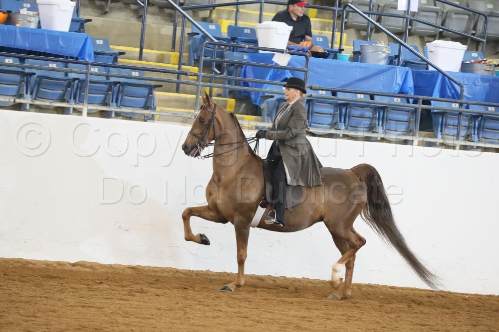2018 Bonnie Blue Horse Show Proofs 2018 Proofs