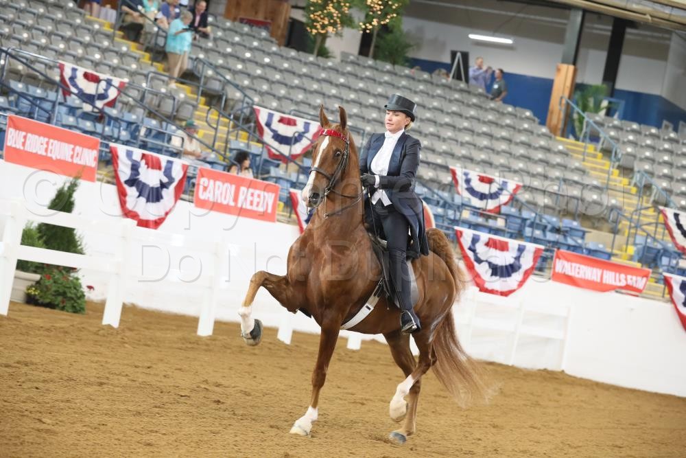 2018 Shenandoah Classic Horse Show Proofs 2018 Proofs