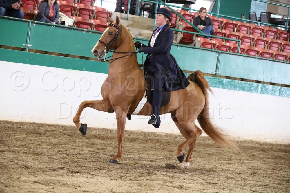 2019 Raleigh Spring Premier Horse Show Proofs 2019 Proofs