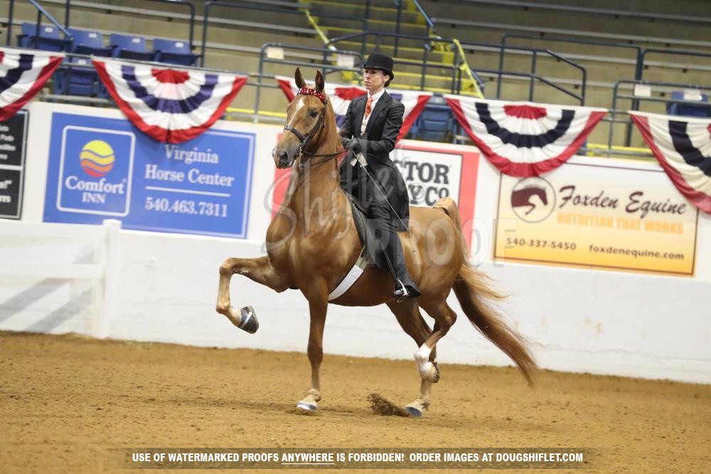 2020 Bonnie Blue National Thursday AM 046 ASB Hunter Country