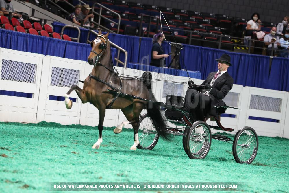 2020 KY State Fair Show  Horse Show Proofs  2020 Proofs  dshiflet.com