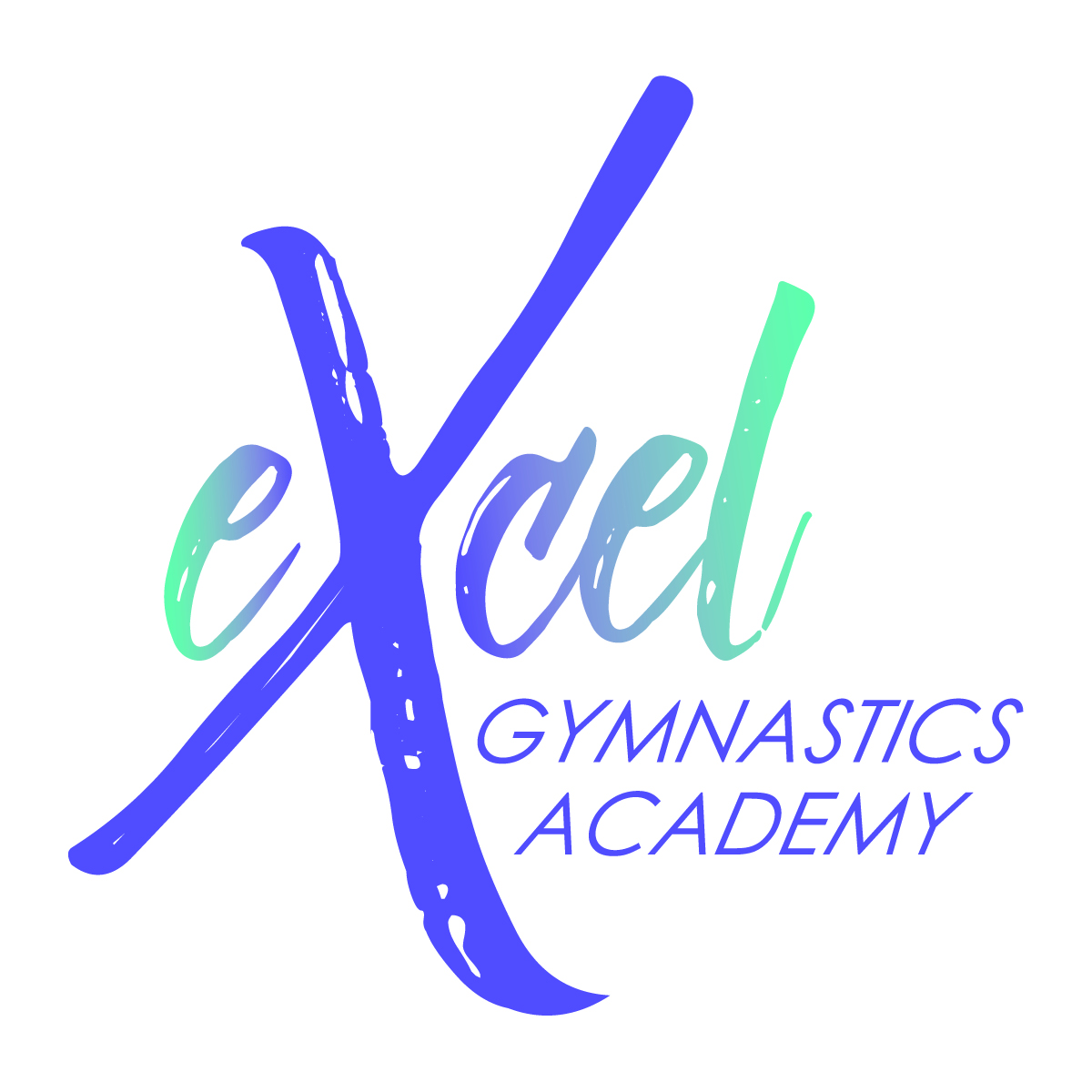 Excel Gymnastics Academy