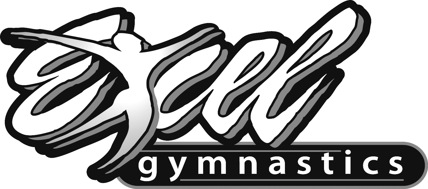 Excel Gymnastics LLC