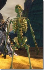 minskeleton1 minskeleton1