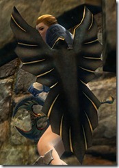 gw2-ebon-vanguard-shield gw2-ebon-vanguard-shield