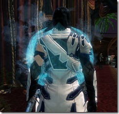 gw2-eidolon-shield-2 gw2-eidolon-shield-2