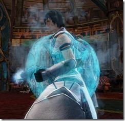 gw2-eidolon-shield gw2-eidolon-shield
