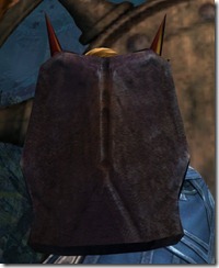 gw2-grimward-shield-2 gw2-grimward-shield-2